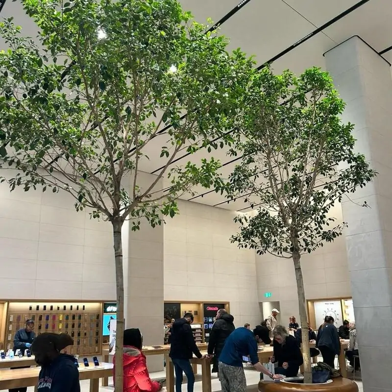 Realistic Artificial Banyan Tree For Shop Decor