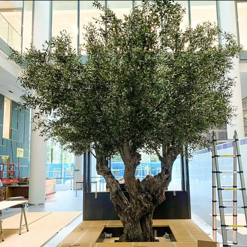 4m Nearly Natural Faux Olive Tree Customizable
