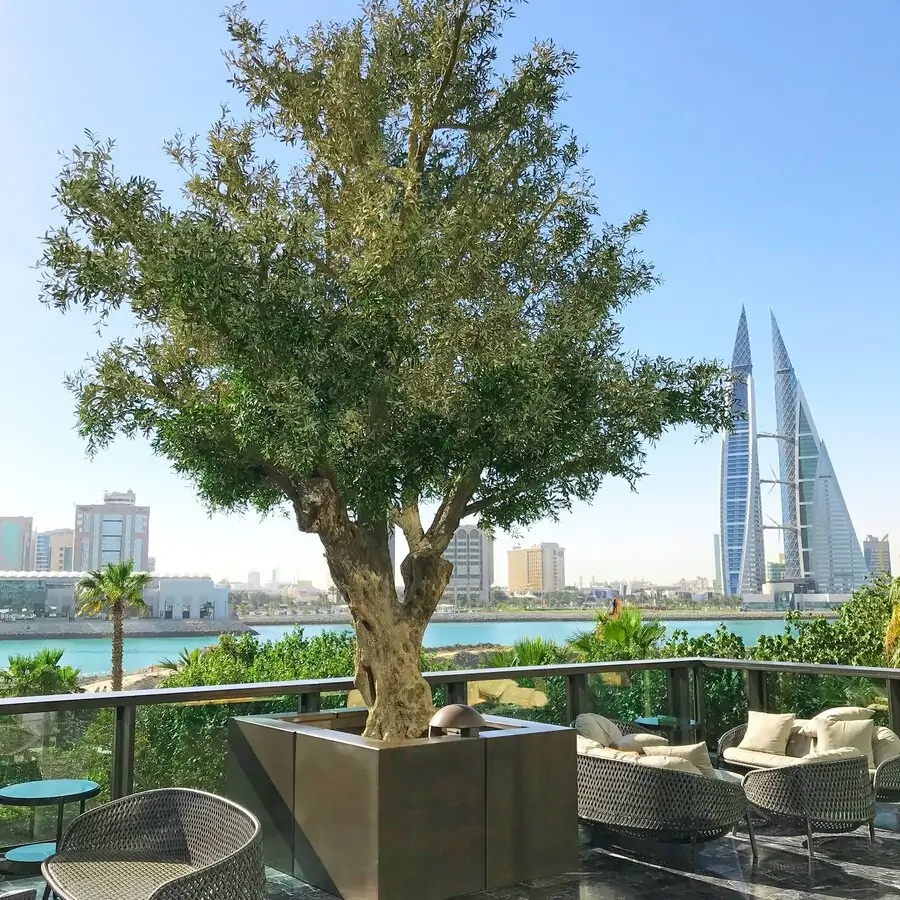 Best 6m Artificial Olive Tree Customizable 